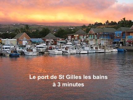 Prana Lodge Saint Gilles Les Bains 800 M De La Plage 外观 照片
